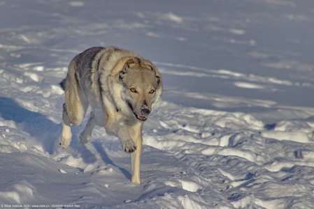 20260111-144844-1165.jpg (465 kB)