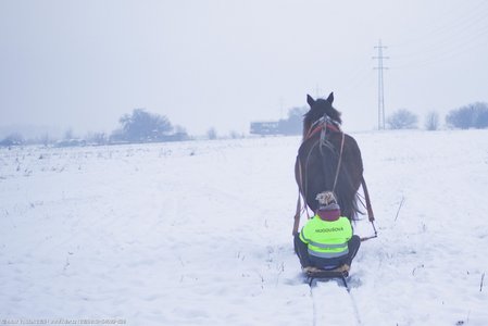 20260113-154609-1528.jpg (248 kB)