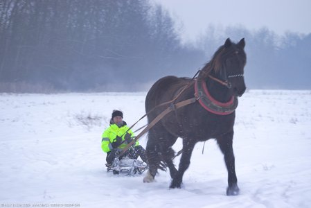 20260113-155354-1546.jpg (322 kB)