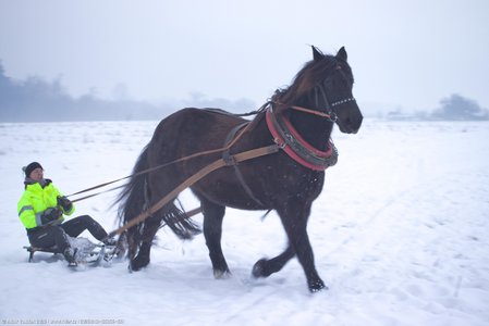 20260113-155356-1551.jpg (291 kB)