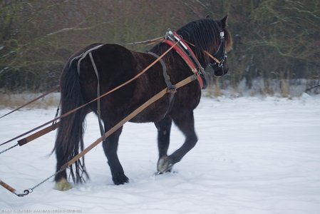 20260113-155702-1553.jpg (386 kB)