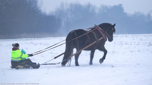 20260113-160109-1568.jpg (274 kB)