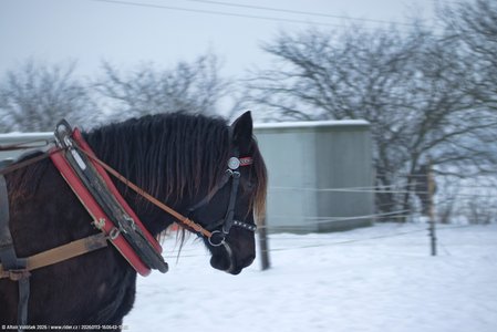 20260113-160643-1585.jpg (383 kB)