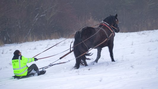 20260113-160700-1588.jpg (317 kB)