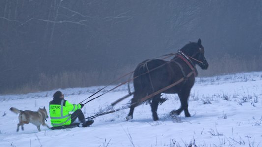 20260113-160716-1591.jpg (355 kB)