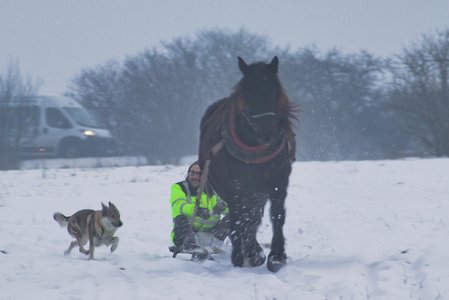 20260113-160742-1595.jpg (427 kB)