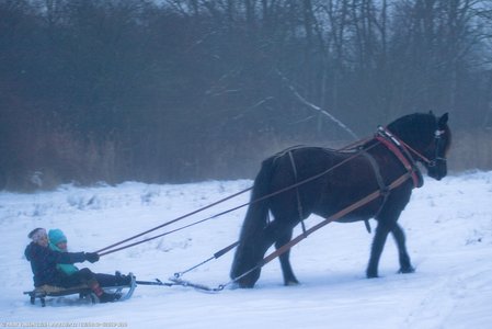 20260113-162650-1636.jpg (555 kB)