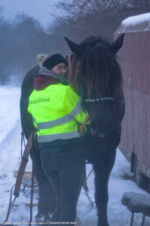 20260113-163411-1646.jpg (423 kB)