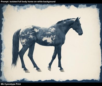 Mk_Cyanotype_Print.jpg (97 kB)